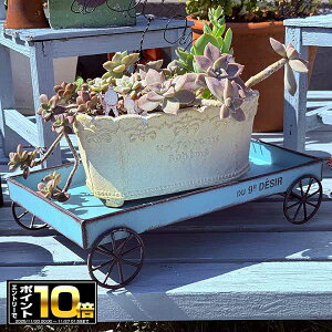 [Gg[Ń|Cg10{ 11/20 20`]ԗ֕tt[X^h fW[J[g BL u[(UN2170)t[X^h/ /O/K[fjO/A//񂹐A/A/ϗtA/T{