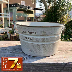 [Gg[Ń|Cg 7{ 12/4 20`]t uLv^[ (a19cm) ktHEhGY O[ (MA2509jی^/~^//O/v^[/K[fjO/Aؔ/W