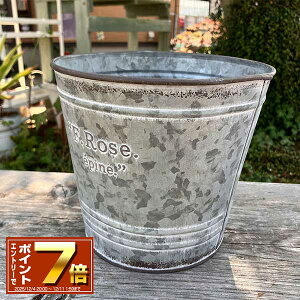 [Gg[Ń|Cg 7{ 12/4 20`]oPc^ uLv^[ (a17.5cm) [T[NMGY (MH1608jی^/~^//O/v^[/K[fjO/Aؔ/WNK[f/