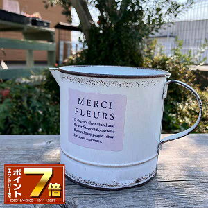 [Gg[Ń|Cg 7{ 12/4 20`]sb`[^ uLv^[ (a10cm) V[sb`[W (MH1562j//O/v^[/K[fjO/Aؔ/WNK[f/