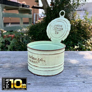 [Gg[Ń|Cg10{ 11/20 20`]ʋľ` ی^ uLv^[ (a8.5cm) |^WEhW (MA2492j/O/v^[/K[fjO/Aؔ/WNK[f