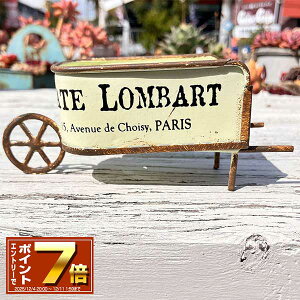 [X[p[SALE Gg[Ń|Cg 7{ 12/4 20`]J[g^ uLv^[ (aW8×L4.8cm) o[gJ[gW (MA2477j/O/v^[/K[fjO/Aؔ/WNK[f