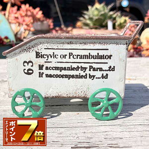 [Gg[Ń|Cg 7{ 12/4 20`]t J[g^ uLv^[ (aW8.5×L5.5cm)yuCgJ[gSW (MH1577j/O/v^[/K[fjO/Aؔ/WNK