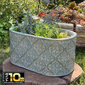 [Gg[Ń|Cg10{ 11/20 20`]ȉ~^v^[AxXNIo[ BL u[ (GF4937) Aؔ/CeA/ϗtA/Jg[/FV/OXt@Co[/v[g/Mtg/킢/W