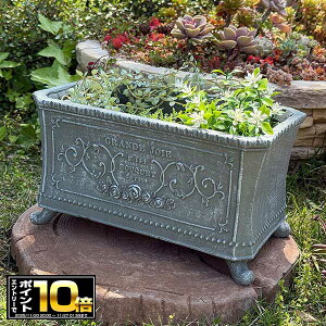 [Gg[Ń|Cg10{ 11/20 20`]tv^[ OWCh SGY O[ (GF4916) Aؔ/CeA/ϗtA/Jg[/FV/OXt@Co[/v[g/Mtg/킢/