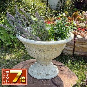 [Gg[Ń|Cg 7{ 12/4 20`]Jbv^v^[ [AjGJbv SW zCg (GF4987) Aؔ/CeA/ϗtA/Jg[/FV/OXt@Co[/v[g/Mtg/킢