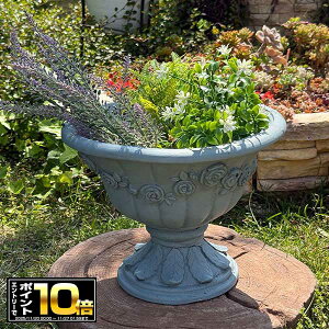 [Gg[Ń|Cg10{ 11/20 20`]Jbv^v^[ [AjGJbv SGY O[ (GF4989) Aؔ/CeA/ϗtA/Jg[/FV/OXt@Co[/v[g/Mtg/킢