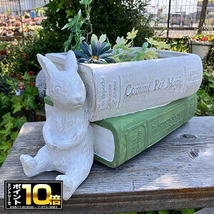 [Gg[Ń|Cg10{ 11/20 20`]ETMƃubN^v^[ [uANep|bg W zCg (GF4938) rbg/ETM/{/OXt@Co[/Aؔ/K[fjO//M