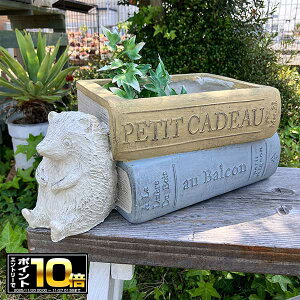 [Gg[Ń|Cg10{ 11/20 20`]nlY~ƃubN^v^[ [uANeG\|bg Y CG[ (GF4941) nlY~/{/OXt@Co[/Aؔ/K[fjO//