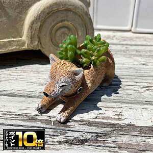 [Gg[Ń|Cg10{ 11/20 20`]Č^̃~jv^[ GeBV|bg (5E4361) K[fjO/Mtg/v[g//킢//Aؔ//ϗtA/A/C