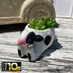 [Gg[Ń|Cg10{ 11/20 20`]EV^̃~jv^[ NVFut|bg(5E4387) K[fjO/Mtg/v[g//킢//Aؔ//ϗtA/A/Ce