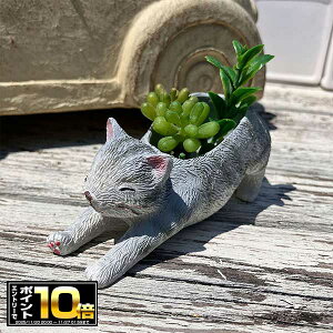 [Gg[Ń|Cg10{ 11/20 20`]lR^̃~jv^[ GeB|bg (5E4360) K[fjO/Mtg/v[g//킢//Aؔ//ϗtA/A/Ce