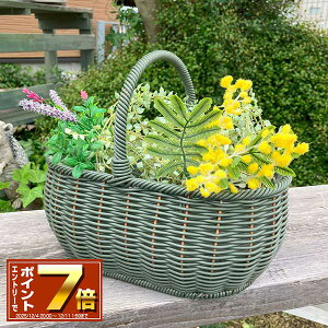 [Gg[Ń|Cg 7{ 12/4 20`]KZgChoXPbgSAGL O[(KM688) rj[Jo[t/vX`bN//JS//v^[/A/񂹐A//ϗtA/Jg