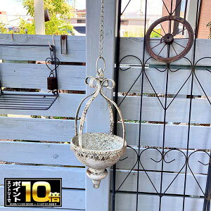 [Gg[Ń|Cg10{ 11/20 20`]AeB[NnMOuLv^[ (a15.8cm) Jbv|bgnOGY (UF540jO[/݂艺/Ǌ|/uLv^[//O/