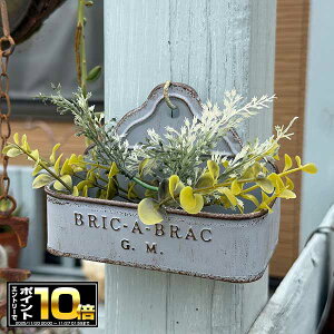 [Gg[Ń|Cg10{ 11/20 20`]nMO uLv^[ uJ|bgBL u[(MH1699) ݂艺/Ǌ|//O/K[fjO/Aؔ/WNK[f/A//񂹐A