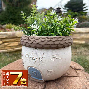 [Gg[Ń|Cg 7{ 12/4 20`]ۂƌ^̃v^[ VsT[NMBR(TH205) uE Zg/v^[/Aؔ/K[fjO/CeA//FV/Mtg/ϗtA/W