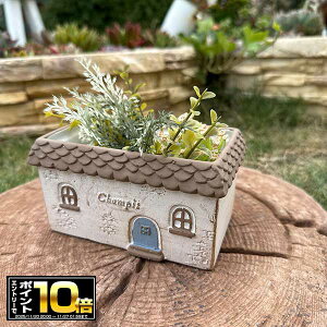 [Gg[Ń|Cg10{ 11/20 20`]lpƌ^v^[ VsChSBR uE (TH206) Zg/v^[/Aؔ/K[fjO/CeA//FV/Mtg/ϗtA/W