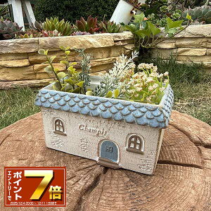 [Gg[Ń|Cg 7{ 12/4 20`]lpƌ^v^[ VsChSBL u[ (TH194) Zg/v^[/Aؔ/K[fjO/CeA//FV/Mtg/ϗtA/WN