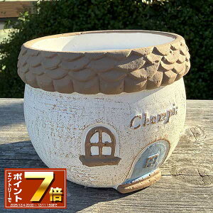 [X[p[SALE Gg[Ń|Cg 7{ 12/4 20`]ۂƌ^v^[ VsT[NSBR uE TH204 Zg/v^[/Aؔ/K[fjO/CeA//FV/Mtg/ϗtA