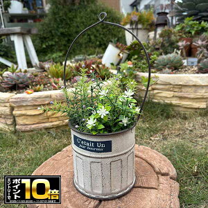 [Gg[Ń|Cg10{ 11/20 20`]uL nMOv^[ ZeBAnOW zCg(UN2300) Ǌ|/݂艺/uL/v^[/Aؔ/K[fjO/CeA//FV/