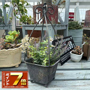 [Gg[Ń|Cg 7{ 12/4 20`]uL nOXNGA|bg DGY _[NO[iUF535j ݂艺/uL/v^[/Aؔ/K[fjO/CeA//FV/Mtg/ϗtA/W