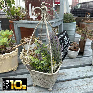 [Gg[Ń|Cg10{ 11/20 20`]uL nOXNGA|bg GY O[(UF534) ݂艺/uL/v^[/Aؔ/K[fjO/CeA//FV/Mtg/ϗtA/WNK