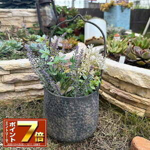 [Gg[Ń|Cg 7{ 12/4 20`]nMOuLv^[ nOEh|bg DGY _[NO[ (UF533) TIN/uL/v^[/Aؔ/K[fjO/CeA//FV/Mt