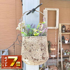 [Gg[Ń|Cg 7{ 12/4 20`]nMOuLv^[ nOEh|bg GY O[ iUF532j TIN/uL/v^[/Aؔ/K[fjO/CeA//FV/Mtg/