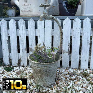 [Gg[Ń|Cg10{ 11/20 20`]AeB[NuLv^[ Vr[^bv|bgSGY(UF581) O[/֌t/Vr[VbN//O/K[fjO/Aؔ/WNK[f