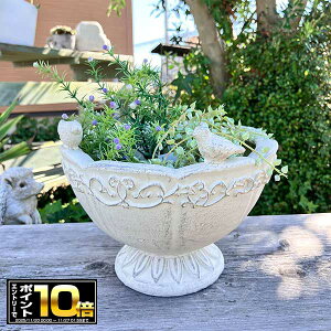 [Gg[Ń|Cg10{ 11/20 20`]Jbv^v^[ I][|JbvSW (GF4997) /ꌊ//O/K[fjO/Aؔ/WNK[f/A//񂹐A/ϗpA/J