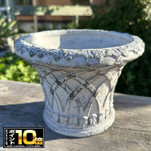 [Gg[Ń|Cg10{ 11/20 20`]NXT[NM(TG818) v^[(ꌊ)//O/K[fjO/Aؔ/WNK[f/A//񂹐A/ϗpA/Jg[G/v