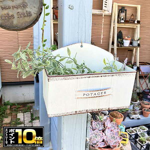 [Gg[Ń|Cg10{ 11/20 20`]nMOuLv^[ A|^WFnOW zCg(MH1736)@݂艺/Ǌ|///O/K[fjO/Aؔ/WNK[f/