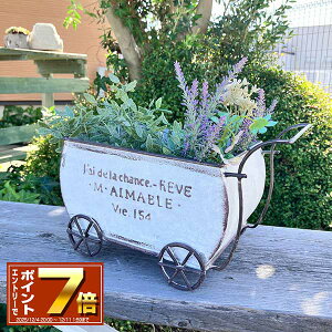 [Gg[Ń|Cg 7{ 12/4 20`]J[g^uLv^[ G}uJ[gSW zCg(UN2354) /O/v^[/K[fjO/Aؔ/WNK[f/A//