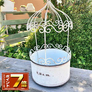 [Gg[Ń|Cg 7{ 12/4 20`]uLv^[ A[r[|bgW zCg(UN2360) /O/v^[/K[fjO/Aؔ/WNK[f/A//