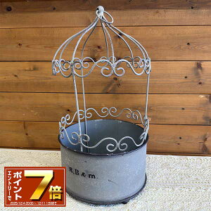 [Gg[Ń|Cg 7{ 12/4 20`]uLv^[ A[r[|bgGY O[(UN2361) /O/v^[/K[fjO/Aؔ/WNK[f/A//