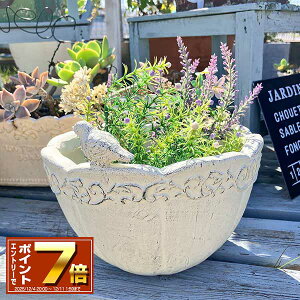 [Gg[Ń|Cg 7{ 12/4 20`]̏肪v^[ I][|T[NW zCg(GF7105) //OXt@Co[/v^[/K[fjO/񂹐A//