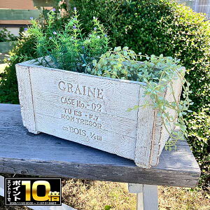 [Gg[Ń|Cg10{ 11/20 20`]ؖڒ̉v^[ OCkEbhChSW zCg(GF1852) //OXt@Co[/v^[/K[fjO/񂹐A//A/