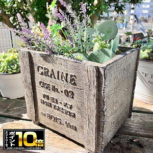 [Gg[Ń|Cg10{ 11/20 20`]ؖڒ̉v^[ OCkEbh{bNXSBR uE(GF1850) //OXt@Co[/v^[/K[fjO/񂹐A//A