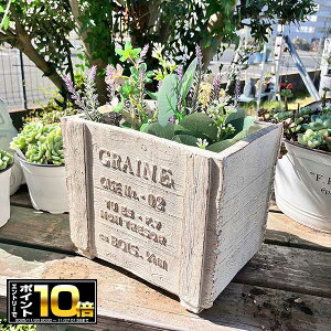 [Gg[Ń|Cg10{ 11/20 20`]ؖڒ̉v^[ OCkEbh{bNXSW zCg(GF1846) //OXt@Co[/v^[/K[fjO/񂹐A//A