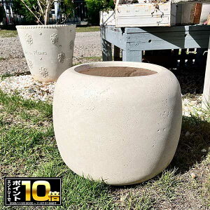 [Gg[Ń|Cg10{ 11/20 20`]Vvȉv^[ [EhMW zCg(G1065) //OXt@Co[/v^[/K[fjO/񂹐A//A/T{