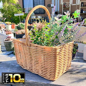 [Gg[Ń|Cg10{ 11/20 20`]jChoXPbgSN i`(KH344jɃrj[Jo[t/vX`bN//JS//v^[/A/񂹐A//ϗtA/Jg