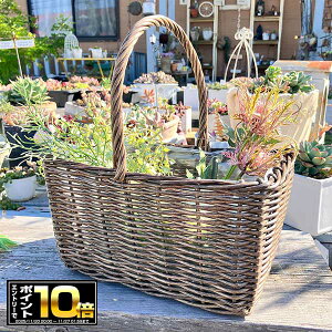 [Gg[Ń|Cg10{ 11/20 20`]jChoXPbgSDGY _[NO[(KH348jɃrj[Jo[t/vX`bN//JS//v^[/A/񂹐A//ϗtA/Jg