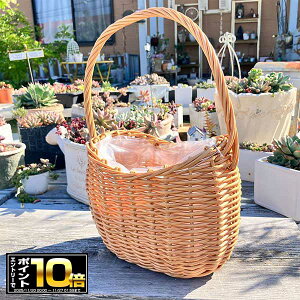 [Gg[Ń|Cg10{ 11/20 20`]jJ[uoXPbgN i`(KH350jɃrj[Jo[t/vX`bN//JS//v^[/A/񂹐A//ϗtA/Jg[