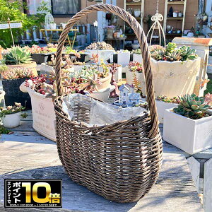 [Gg[Ń|Cg10{ 11/20 20`]jJ[uoXPbgDGY _[NO[(KH352jɃrj[Jo[t/vX`bN//JS//v^[/A/񂹐A//ϗtA/Jg