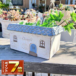 [X[p[SALE Gg[Ń|Cg 7{ 12/4 20`]nEX`[tv^[ VsChMBL u[ (TH195) ꌊ/Zg/v^[/Aؔ/K[fjO/GNXeA/CeA/