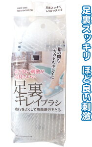 �y�܂Ƃߔ���=�����P��12�z���s��ǂ����ċؓ���J���Ƃ鑫���L���C�u���V �A�\�[�g(�F������ꍇ)43-292(se2e614)