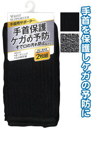 �y�܂Ƃߔ���=12�P�ʁz���ی�T�|�[�^�[2���g�t���[�T�C�Y �A�\�[�g(�F������ꍇ) 45-741(se2e104)