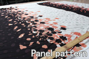 [J[y70cmFplzRasoir iY[jIWivgeLX^CJQFIW