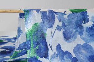 [J[y1mȏ/50cmPʁzynF112cmzRasoir iY[jIWivgeLX^CuAg{CFu[