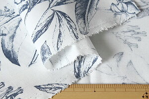 [J[y1mȏ/50cmPʁzynF112cmzRasoir iY[jIWivgeLX^CT/C_K[zCg